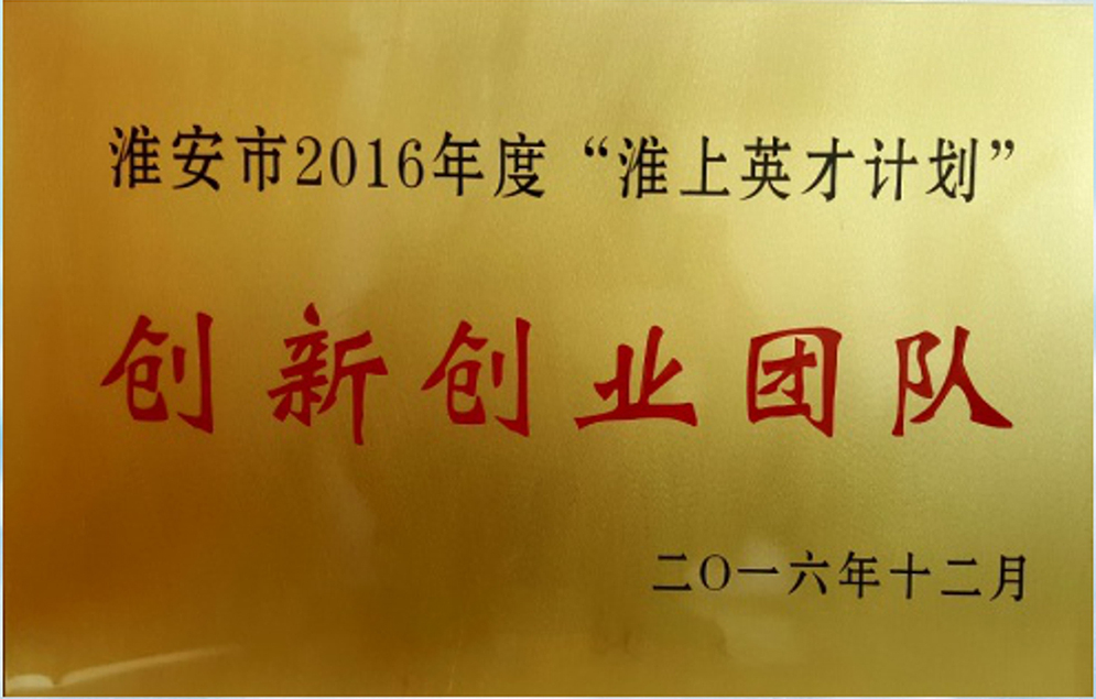 4淮安市2016年度“淮上英才計(jì)劃”創(chuàng)新創(chuàng)業(yè)團(tuán)隊(duì).jpg